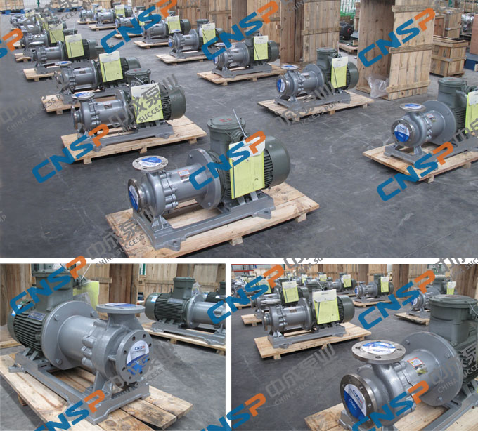 新合新生物向我厂订购一批氟塑料磁力泵